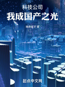 科技公司,我成国产之光 !
