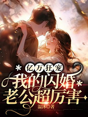 亿万狂宠,我的闪婚老公超厉害小说