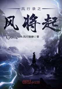 风行录制
