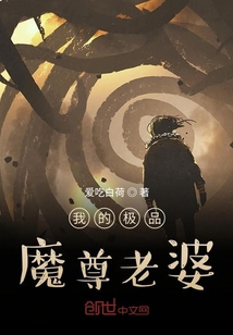 我的魔尊老婆大人