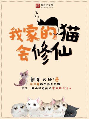 《我家的猫》