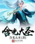 含光大圣