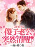 新婚夜傻子老公突然清醒了短剧在线观看